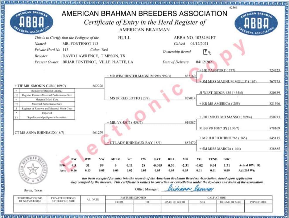 Red Brahman Creator- MR. FONTENOT