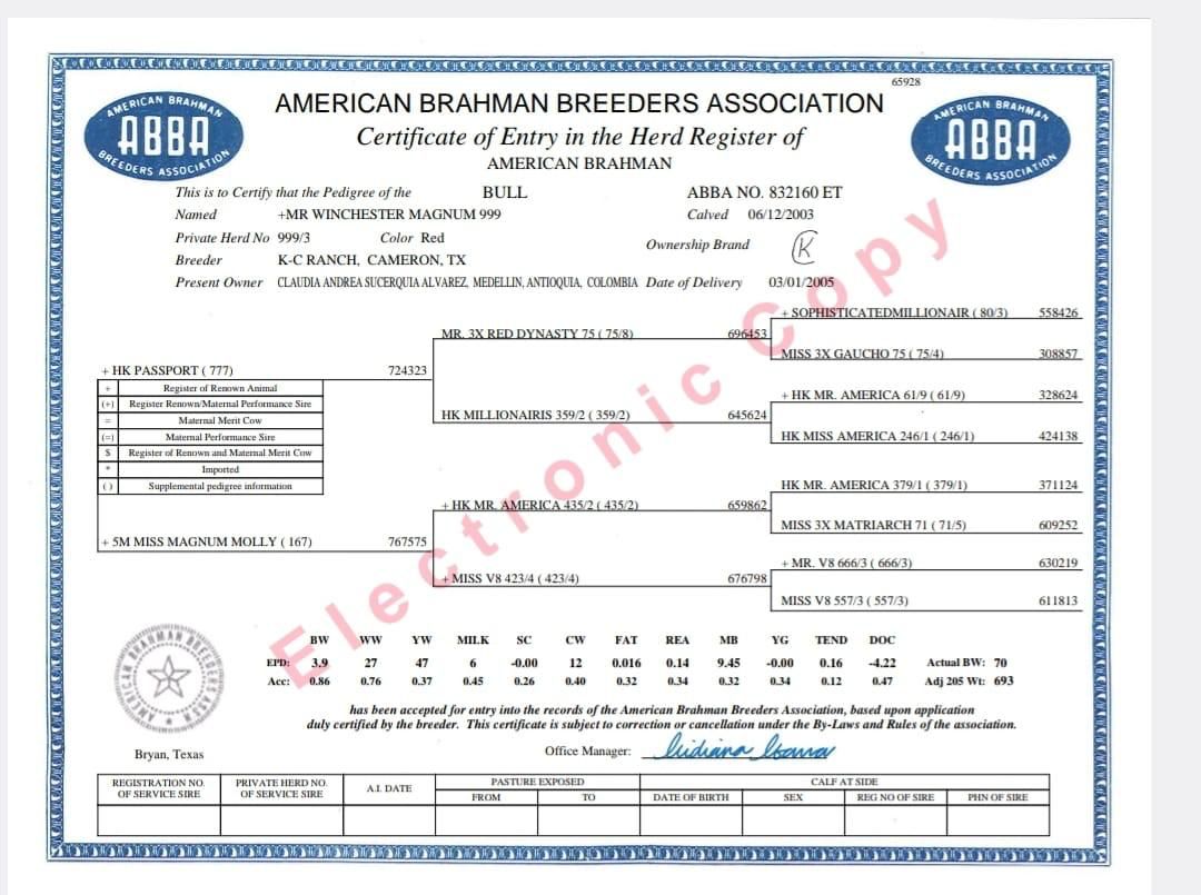 Creador del Brahman Rojo - MR WINCHESTER MAGNUM