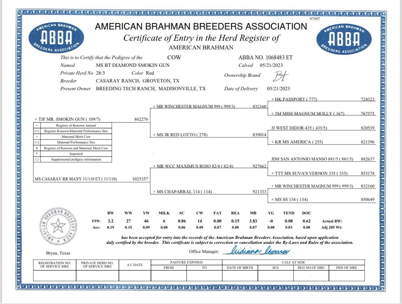 Creador del Brahman Rojo - MS BT DIAMOND SMOKIN GUN